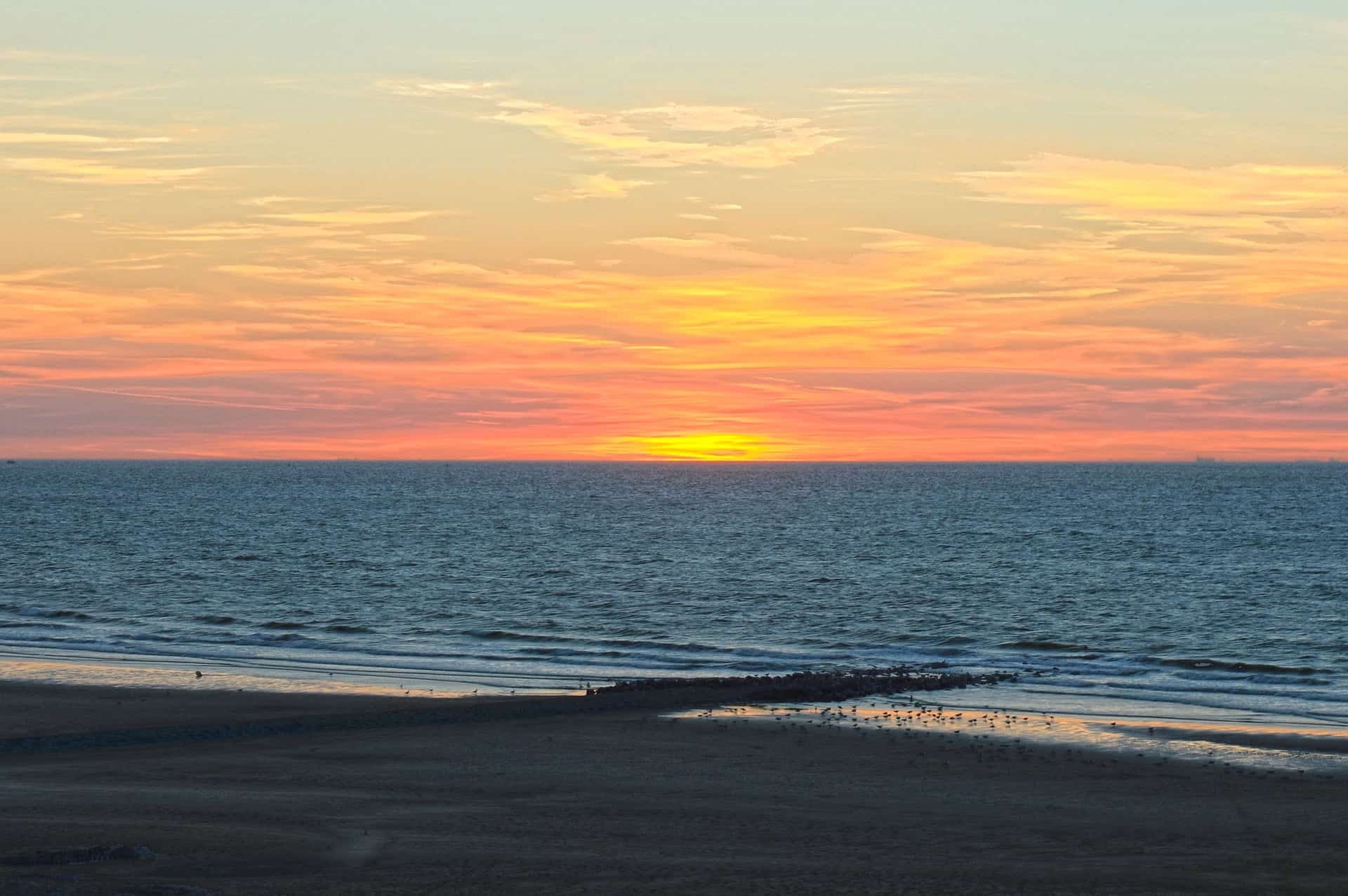 senigallia mare